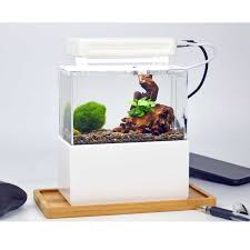 Anda juga dapat memilih dari terdapat 241 penyuplai aquarium mini murah, sebagian besar berlokasi di asia. Dengan Harga Murah Portable Desktop Aquaponik Aquarium Mini Plastik Ikan Tangki Ikan Mangkuk Dengan Penyaringan Air Led Tenang Pompa Air Untuk Dekorasi Akuarium Tanks Aliexpress