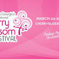 Cherry Blossom Festival