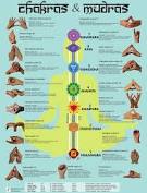 In other words, we can use them to help us meditate and open up our seven main chakras. 28 65