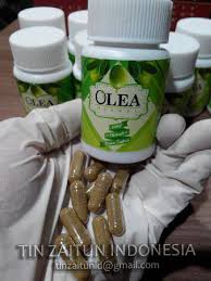 Gratis daun zaitun foto piqsels. Ekstrak Daun Zaitun Tin Zaitun Indonesia
