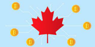 Canadians can purchase doge on ndax by following these steps. Why Is Bitcoin Rising Cryptocurrency Adoption In Canada Coinsquare News