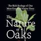Growing and Identifying Oaks with Randy Counterman