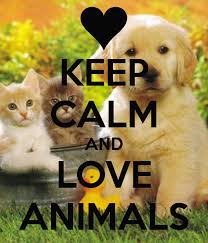 Keep Calm Love Animals Save Animals Slogans Save Animals Animals