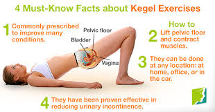 4 Must Know Facts About Kegel Exercises Kegel Exercise Pelvic Floor Kegal Exercises