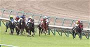The naruo kinen (in japanese: Saavlqrb2je0em