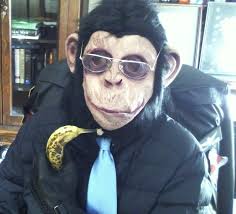 Cafetalk Halloween! Enjoy online lessons for kids!