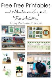You'll find free montessori printables, montessori books, montessori toys, montessori practical life, montessori math, montessori science and montessori sensory activities. Free Tree Printables And Montessori Inspired Tree Activities Living Montessori Now