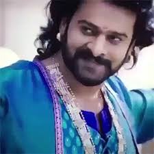 images?q=tbn:ANd9GcThu9pX7dbkLCEp3j9O96Y