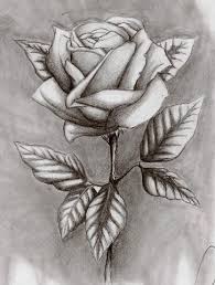 Wie Zeichnet Man Eine Schone Detaillerte Rose Rosen Zeichnen Rose Zeichnung Rose Gezeichnet