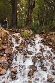 We did not find results for: Pennsylvania Waterfalls Caledonia Falls In Franklin County Uncovering Pa