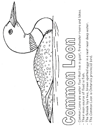 Kidzone is a leading online retailer in kids toys and games. Common Loon Coloring Page