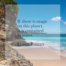 water quote by loren eiseley water quotes travel quotes travel inspiration