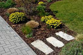 Maybe you would like to learn more about one of these? The Pros And Cons Of Cypress Mulch