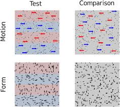 They only designed to point you in the right direction. Visual Perception In Dyslexia Is Limited By Sub Optimal Scale Selection Scientific Reports