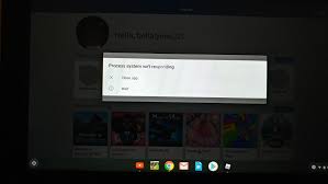 Chromebook Touch Reads Process System Isn T Responding And Will Not Power Off Chromebook Community
