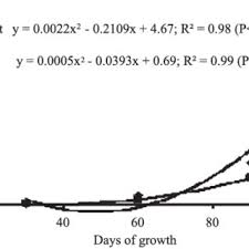 Image result for Eragrostis anacranthoides