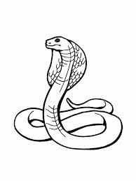 When a child colors, it improves fine motor skills, increases concentration, and sparks creativity. Reptile Coloring Pages Coloring Home