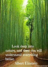 10 Quotes On How Nature Inspires Creativity A wreath for your soul is a collection of short poems that combine elements of nature. 10 quotes on how nature inspires creativity