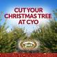 Cut Your Christmas Tree at Colorado Youth Outdoors event in Fort Collins, CO