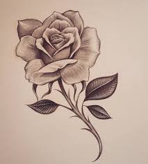 Early Early Morning Rose Inkdmonkey Yahoo Com Losangeles Westcoast Mycrazylife Rose Southbay Rose Drawing Tattoo Rose Sketch Pencil Drawings Of Flowers