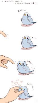 Eu Nas Bochechas Da Minha Melhor Amiga E Da Minha Bff Cute Doodles Kawaii Animals Cute Animal Drawings