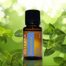 Peppermint essential oil is so very versatile and useful! Doterra Essential Oils Peppermint Essential Oil Bliz Wellness