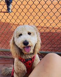 Aimee Oestreich (Little) (@aimee_oestreich) • Instagram photos and videos