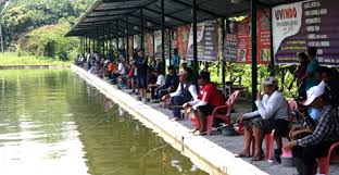 Lembah Desa Gt Bawal Main 2 Sesi Selasa Kamis Sabtu Tiket 100 Ribu 200 Ribu Kabar Mancing