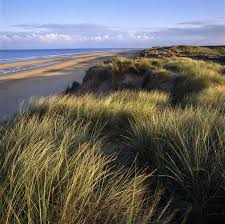Once you pass through the squirrel reserve and past the wonderful pines you will enter a sea of dunes. Formby Beach On Aboutbritain Com