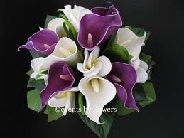 Check spelling or type a new query. Purple Calla Lily White Plumeria Frangipani Tropical Wedding Flowers Bouquet Purple Calla Lilies Flower Bouquet Wedding Purple Calla Lilies Wedding