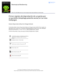 Mauricio tiene 5 empleos en su perfil. Pdf Primer Registro De Depredacion De Un Gecko Por Un Parulido Setophaga Petechia Aurea En Las Islas Galapagos