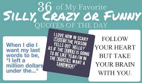 Remember when the internet was mostly ridiculous stuff instead of terrible news that makes me feel despondent? 36 Of My Favorite Silly Crazy Or Funny Quotes For The Day