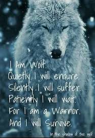 I Love This Because I Am Strong Powerful And Fierce Like A Wolf Lebensspruche Zitate Motivation Inspirierende Spruche