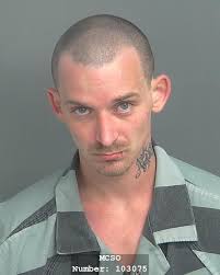 2 arrested, caught in the act during Willis home burglary