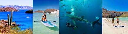Sea of Cortez Yacht Cruises - 213 325 6740 - Craig Leonard  Caboluxuryyachtcharters.comcaboluxuryyachtcharters.com