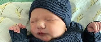 Eli Johnston Archives