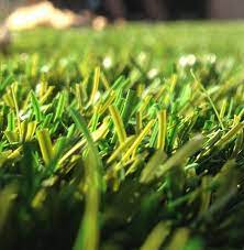 Seed planted when night time temperatures are regularly above 15 degrees celsius (50 f) will not germinate without daily watering and may wait until cooler days to. Synthetic Turf In New Jersey Turf Pros Solution