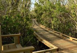 Maybe you would like to learn more about one of these? Collier Seminole State Park Florida State Parks