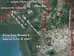 Bird Watching At The Mouth Of Bang Pakong River Thailand Thailand Bird Watching Trip Report May 2020