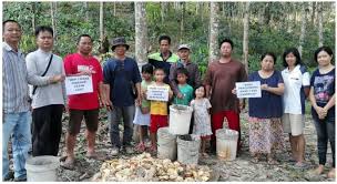 Petronas carigali petronas, jalan belia, kota kinabalu, sabah. Ini Tidak Adil Pekebun Kecil Getah Di Sabah Juga Harus Dibantu Borneo Today