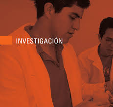 TERCER INFORME DE ACTIVIDADES