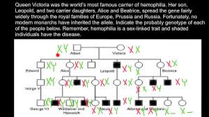 Haemophilia In Royal Families Of Europe