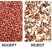Sortex For Peanut | Best Color Sorter For Peanut | MEYER