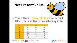 Bee Business Bee Investment Appraisal Net Present Value Npv Investing Appraisal Business