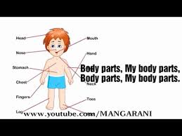 Parts Of The Body Rhyme My Body Parts Rhyme 1st Class English Unit 7 Youtube
