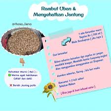 Rambut Uban Dan Jantung Beef Detox Food