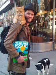 big issue seller a cat named bob street cat bob cats and kittens