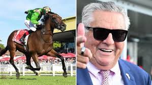 Grandad's family looking for help from above in The Quokka