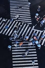Group Of People Crossing Pedestrian Lane Stock Images Free Photo Wallpaper This Or That Questions