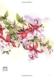 Watercolour Flowers Ready To Paint Wendy Tait 9781844482849 Amazon Com Books Watercolor Flowers Floral Watercolor Botanical Painting
